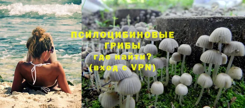 даркнет сайт  Оса  Псилоцибиновые грибы Cubensis 